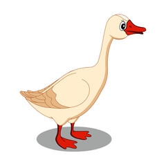 Single Duck Walking - Cartoon Vector Image