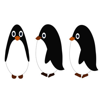 Three Baby Penguins - Cartoon Vector Image