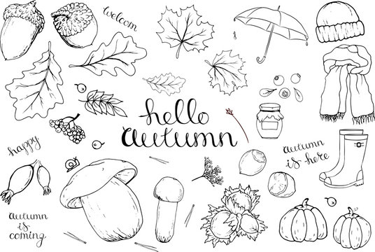 Vector set of autumn items. Cartoon monochrome isolated objects on a white background. Linear hand drawn illustration.