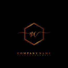 Fototapeta na wymiar NX Initial luxury handwriting logo vector