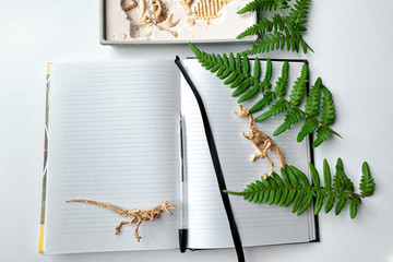 Archaeological excavations. Archiologist notebook. Scientific diary. Dinosaur skeleton and fern leaves on a yellow background