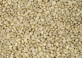 Green coffee beans background