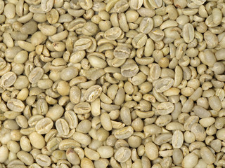 Green coffee beans background
