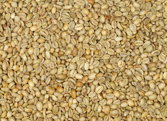 Green coffee beans background