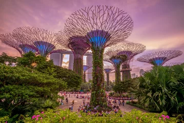 Schilderijen op glas Gardens by the Bay met supertree in singapore © Richie Chan