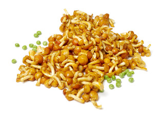 Slippery Jack Mushrooms on white background