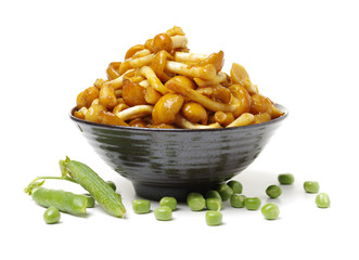 Slippery Jack Mushrooms on white background