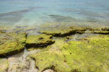 Green rocks in the sea