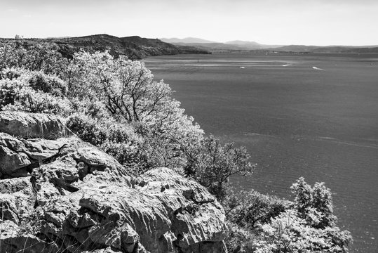 Gulf of Trieste. High cliffs Between boats, karst rocks and ancient castles. Black and white. Duino. Italy
