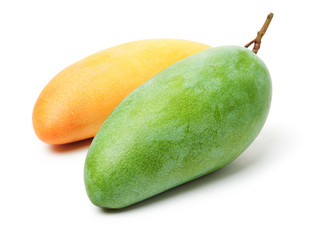 mango isolated on a white background