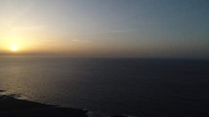 whimsical forms of nature