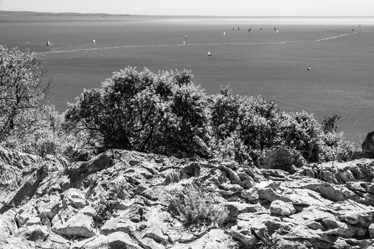 Gulf of Trieste. High cliffs Between boats, karst rocks and ancient castles. Black and white. Duino. Italy