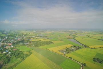 Fototapeta na wymiar Aerial view morning above green rice paddy fields plantation in rainy season around with soft fog with cloudy sky background, Lam Phayom village in Ban Pong, Ratchaburi, west Thailand.