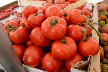Tomaten auf dem Markt