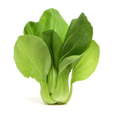 Pok Choi on white background