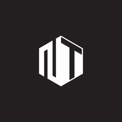 NT Logo monogram hexagon with black background negative space style