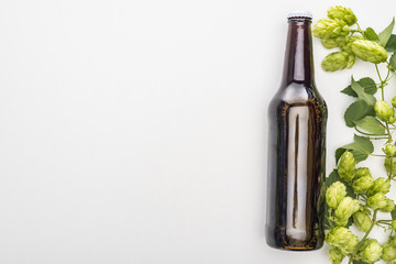 Obraz premium top view of fresh beer in bottle with green hop on white background