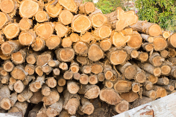 close up of teak wood plank in wood cutting factory