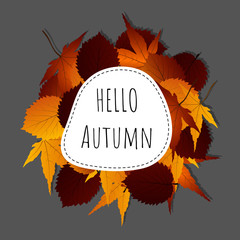 Template design banner for autumn season. Hello autumn postcard, poster, card