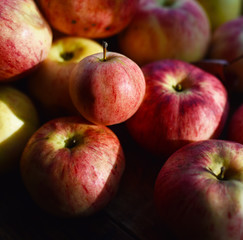 striped autumn apples in the sunlight