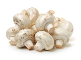 White mushrooms on white background