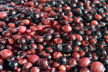 The process of  berry wort fermentation for making wine