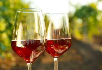 Glasses of tasty wine in vineyard, closeup