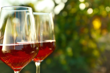 Glasses of tasty wine in vineyard, closeup