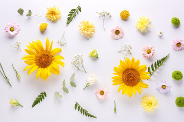 Beautiful composition with flowers on white background