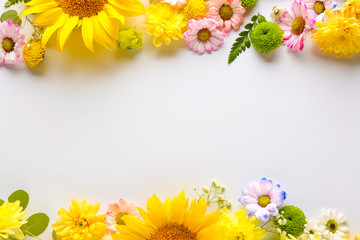 Beautiful composition with flowers on white background