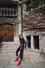 Fototapeta na wymiar stylish brunette standing next to the entance to a building at University of Chicago