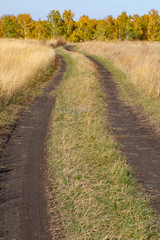 Fototapeta na wymiar Mud blurred road, autumn field.