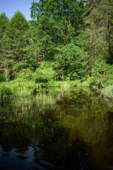 Fototapeta na wymiar Calm river and green nature. Wallpaper scenery