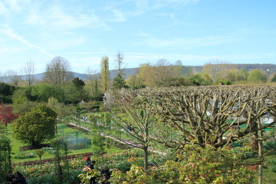ジヴェルニー　モネの庭