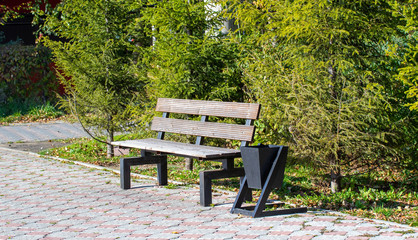 Wooden benches in the autumn park, landscape.