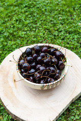 A bowl of fresh cherries in the grass