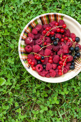 A bowl with fresh raspberries