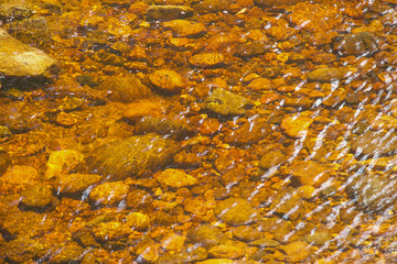 Pebbles in stream in Tasmania, Australia