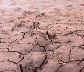 Dry ground on Madagascar