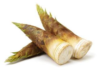 Fototapeta premium Bamboo shoot on the white background 