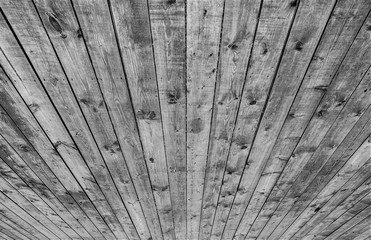 Texture. Old gray barn board as a background.