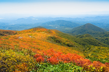 栗駒山紅葉神の絨毯