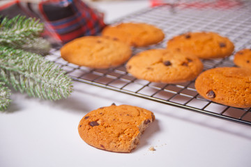 Homemade cookies, pine branch on the white background