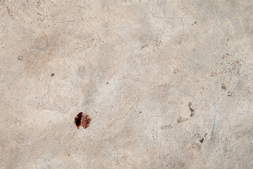 Bloodstain