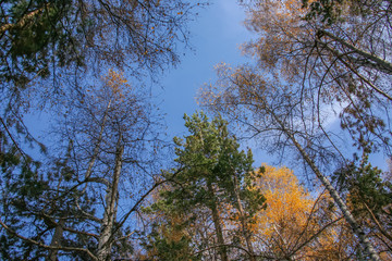 Allphotokz Kok Zhailau 20081009 0038 5D