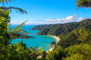 Able Tasman Bays