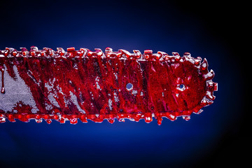 detail of a chain saw covered in blood.