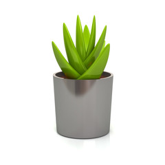 Succulent in metalic Plant Pot Icon 3d Illustration isolated on white background