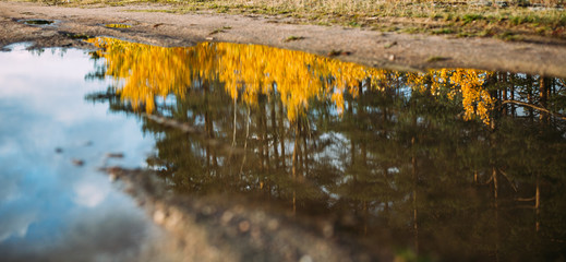 Fototapeta na wymiar Autumn landscape with reflection in water