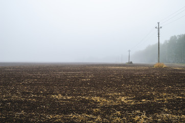 Fototapeta na wymiar Plowed field in the fall for planting seeds. Power lines in the fog.